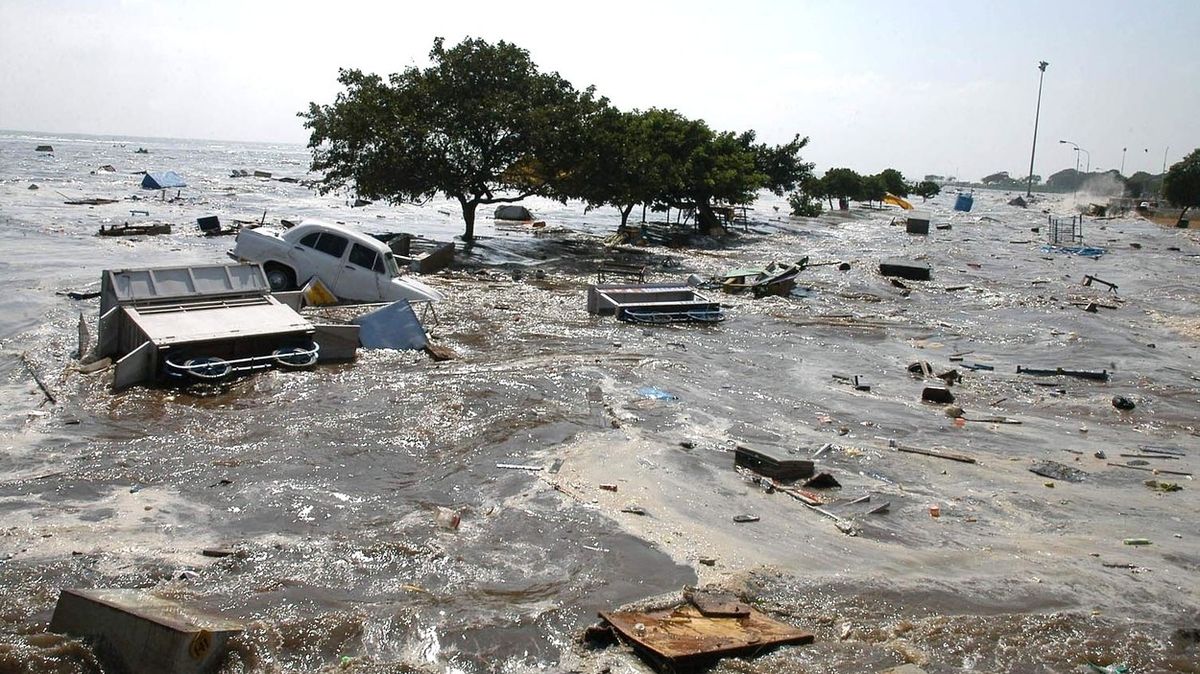 Patnáct let po tsunami příběhy znovu ožívají